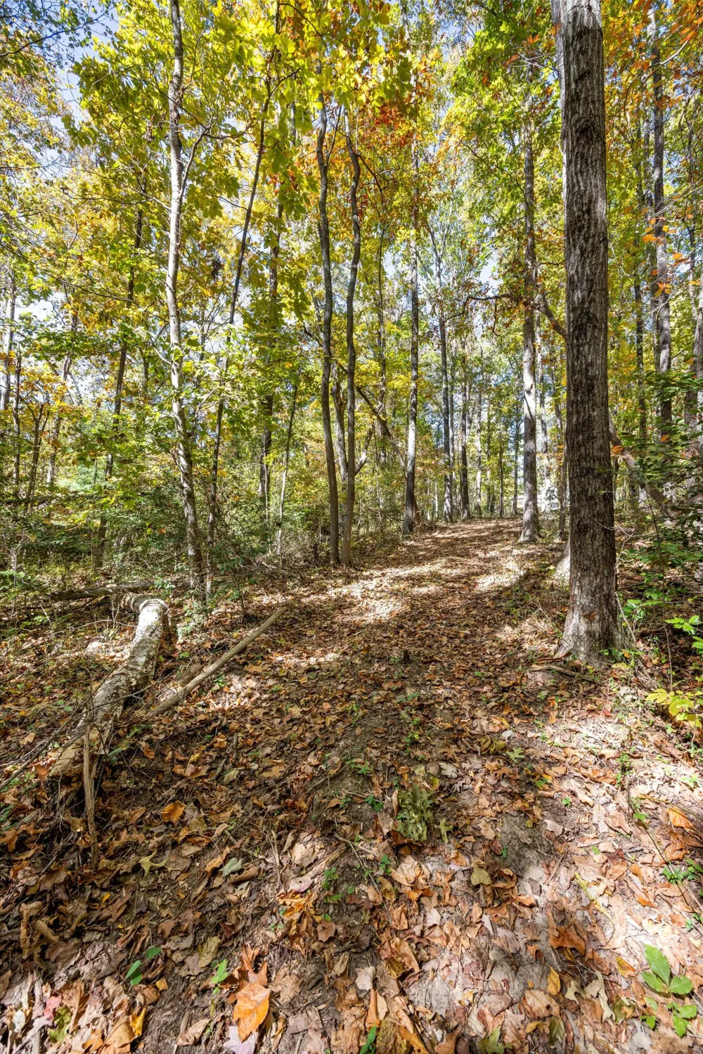 2424 Corral Road Signal Mountain, TN 37377