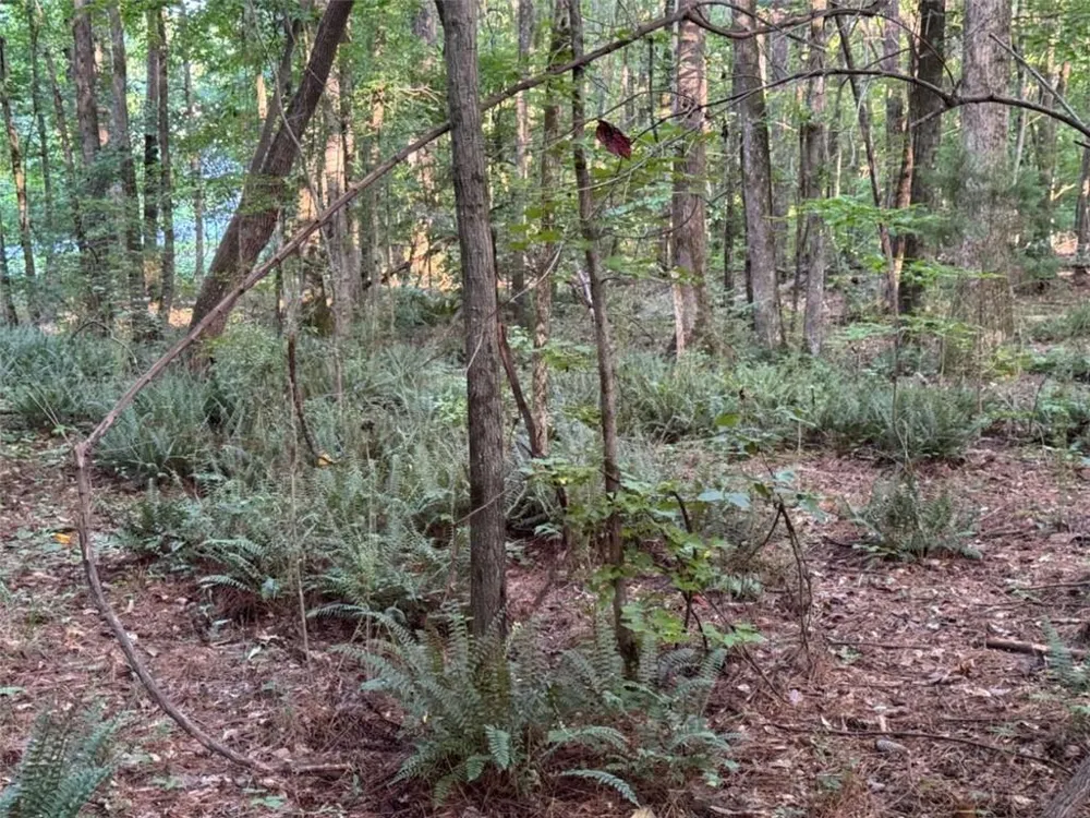 0 Lake Hampton Drive Hampton, GA 30228