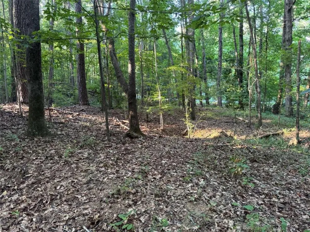0 Lake Hampton Drive Hampton, GA 30228