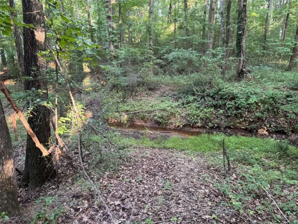 0 Lake Hampton Drive Hampton, GA 30228