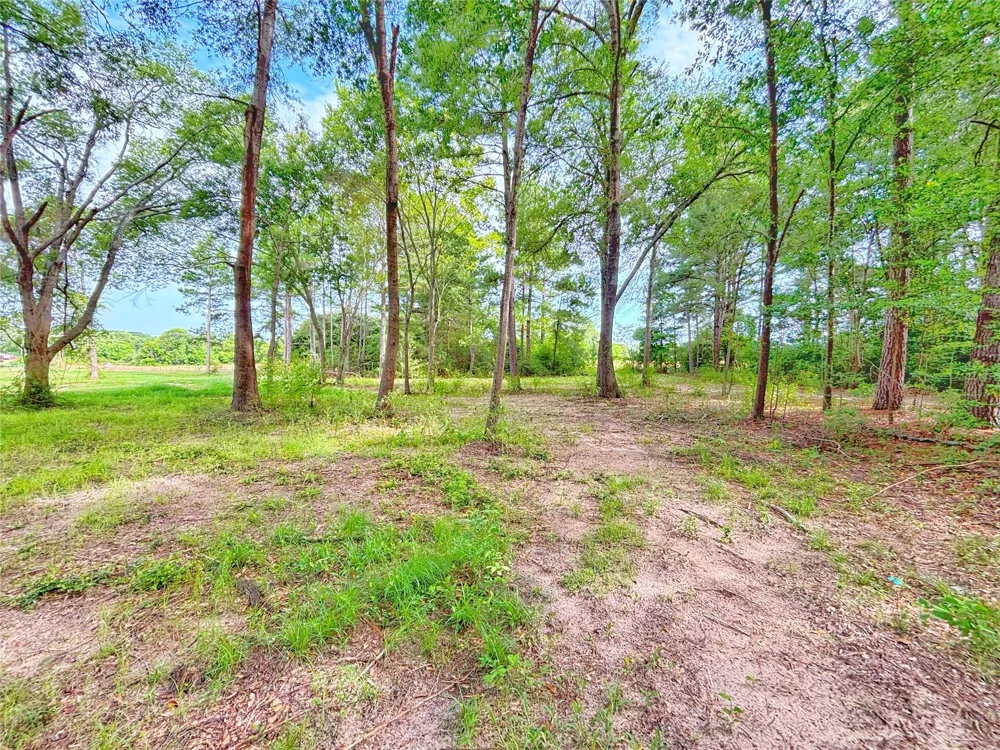 1116 N Olive Street Grapeland, TX 75844