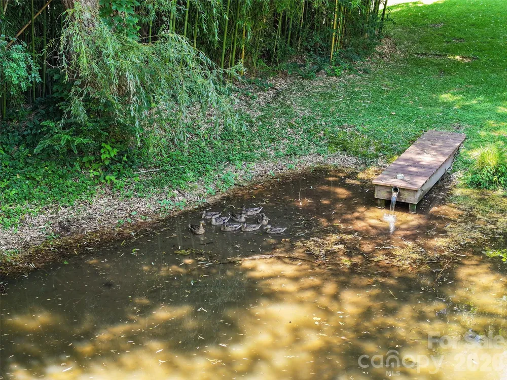 36 Meadows Lane Maggie Valley, NC 28751
