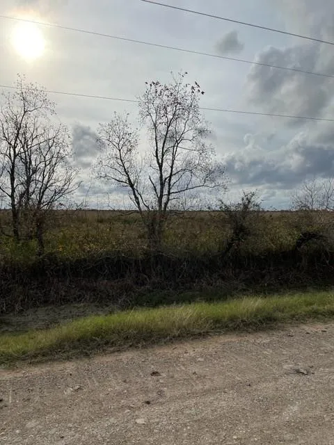 35 Hughes Rd Guy, TX 77444