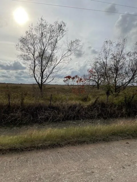 35 Hughes Rd Guy, TX 77444