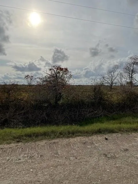 35 Hughes Rd Guy, TX 77444