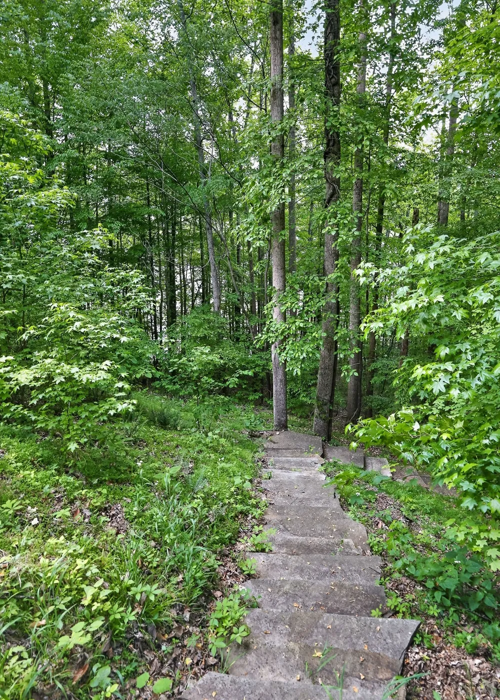 2304 Backbone Rd Sparta, TN 38583