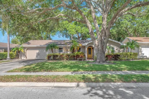 11081 143RD STREET