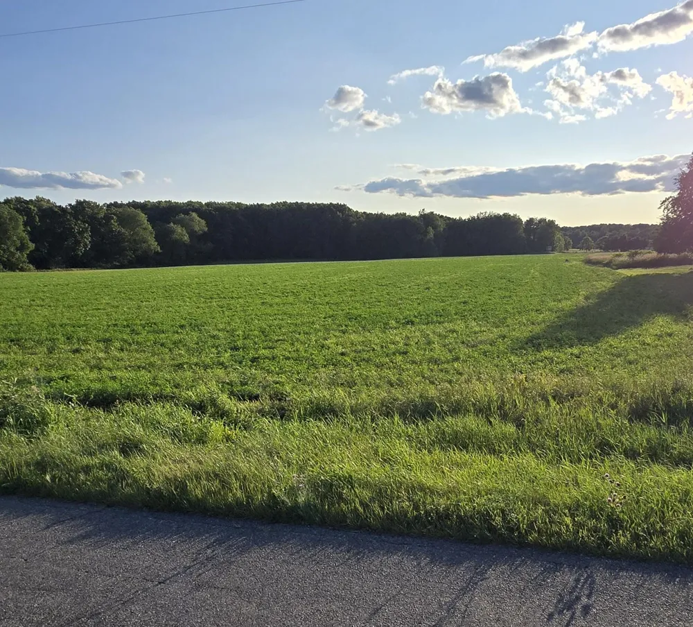 16659 Meddler Avenue NE Sand Lake, MI 49343
