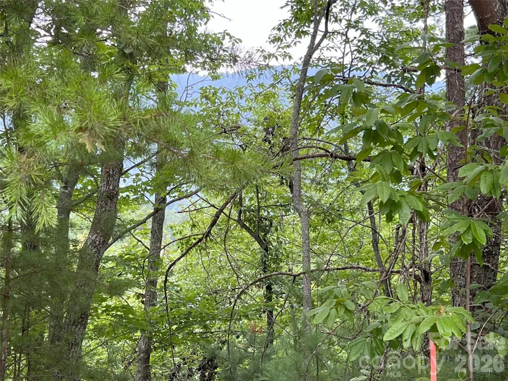 0 Stratford Drive #19 Mill Spring, NC 28756