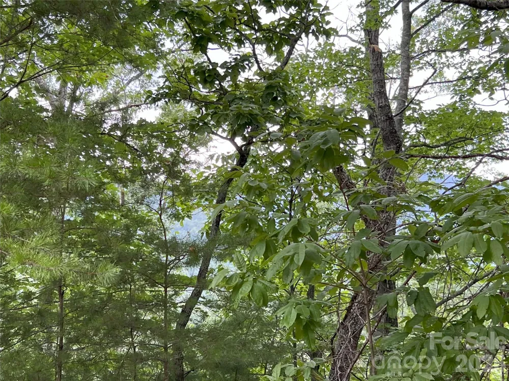0 Stratford Drive #19 Mill Spring, NC 28756