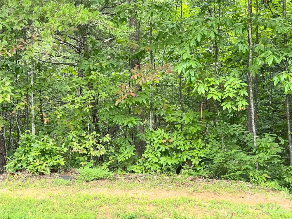 0 Stratford Drive #19 Mill Spring, NC 28756
