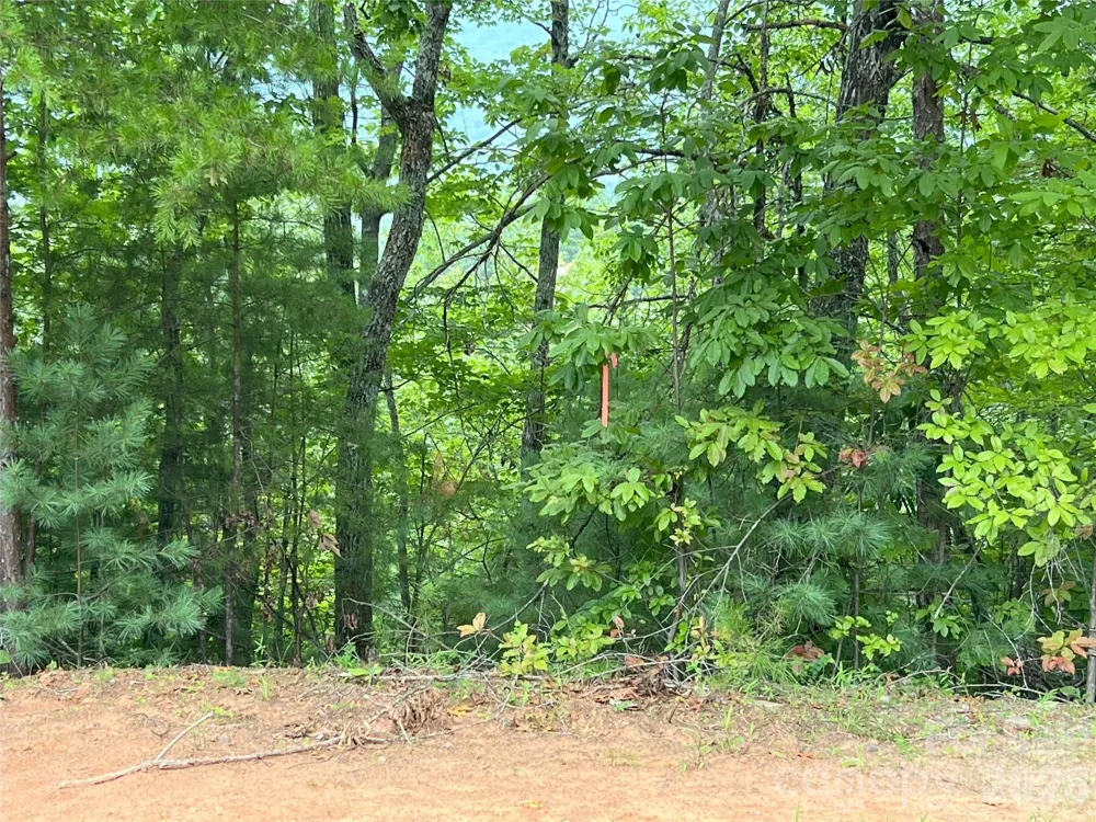 0 Stratford Drive #19 Mill Spring, NC 28756