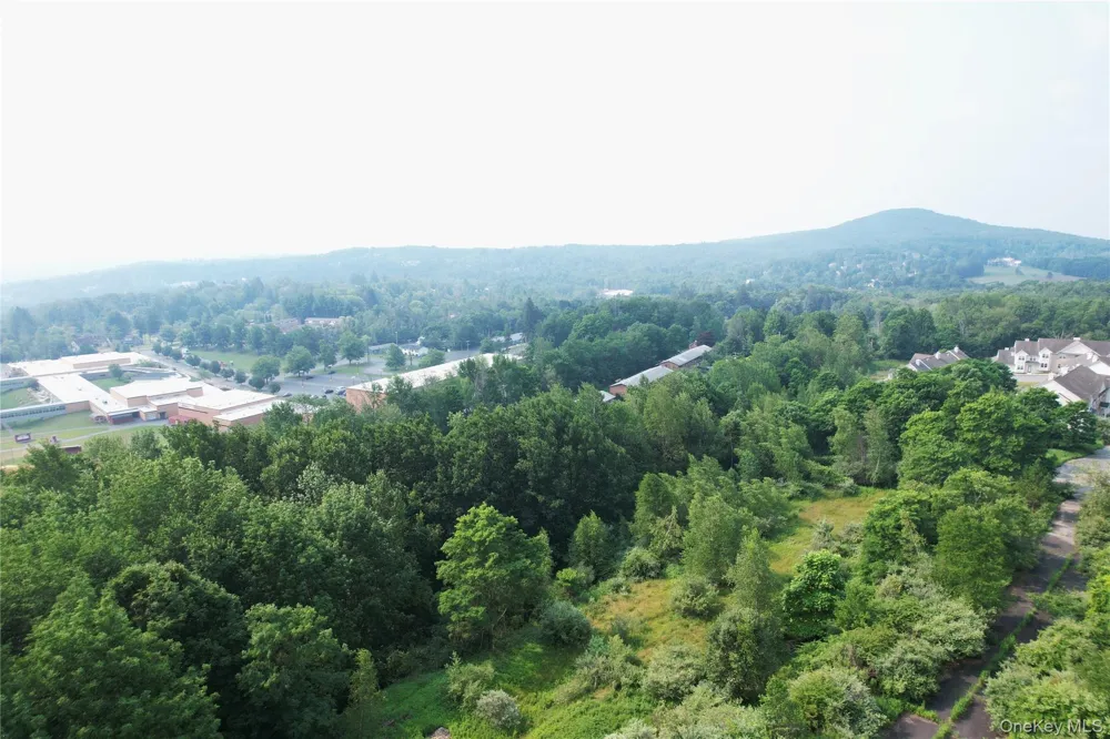 TBD Timberwolf Road W Liberty, NY 12754