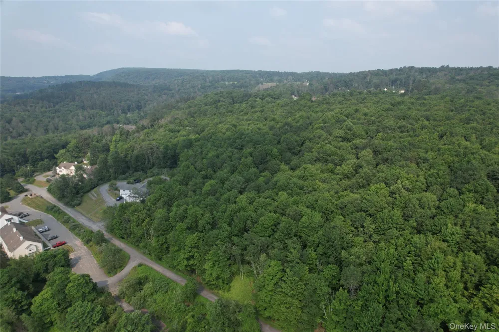 TBD Timberwolf Road W Liberty, NY 12754