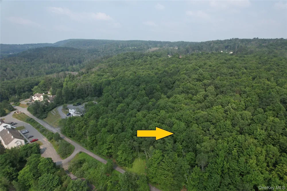 TBD Timberwolf Road W Liberty, NY 12754