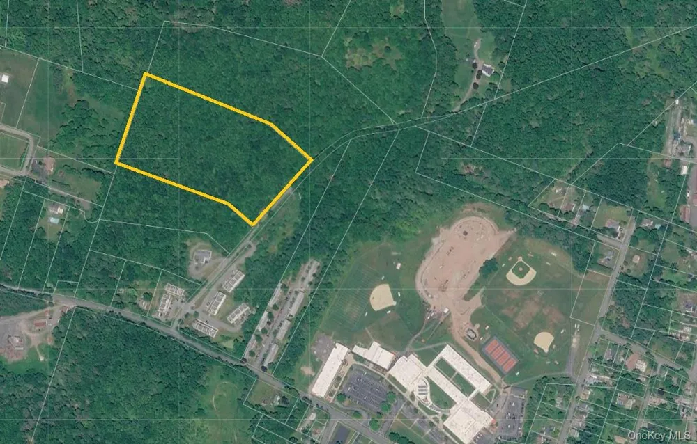 TBD Timberwolf Road W Liberty, NY 12754