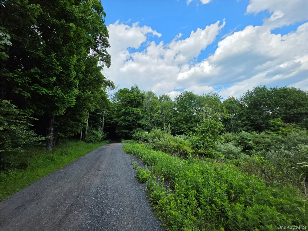 TBD Timberwolf Road W Liberty, NY 12754