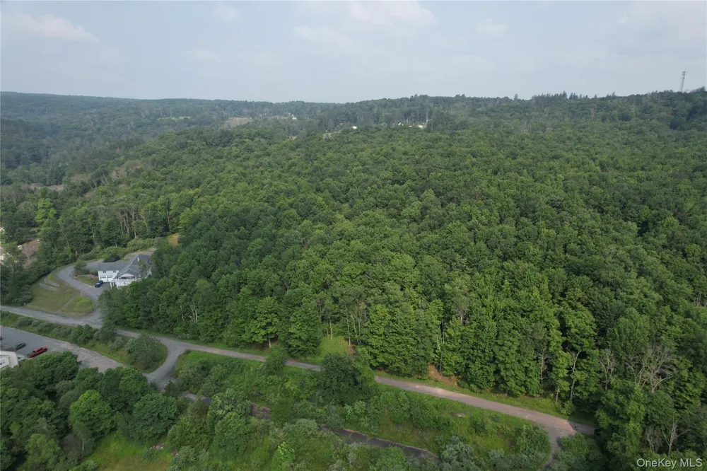 TBD Timberwolf Road W Liberty, NY 12754