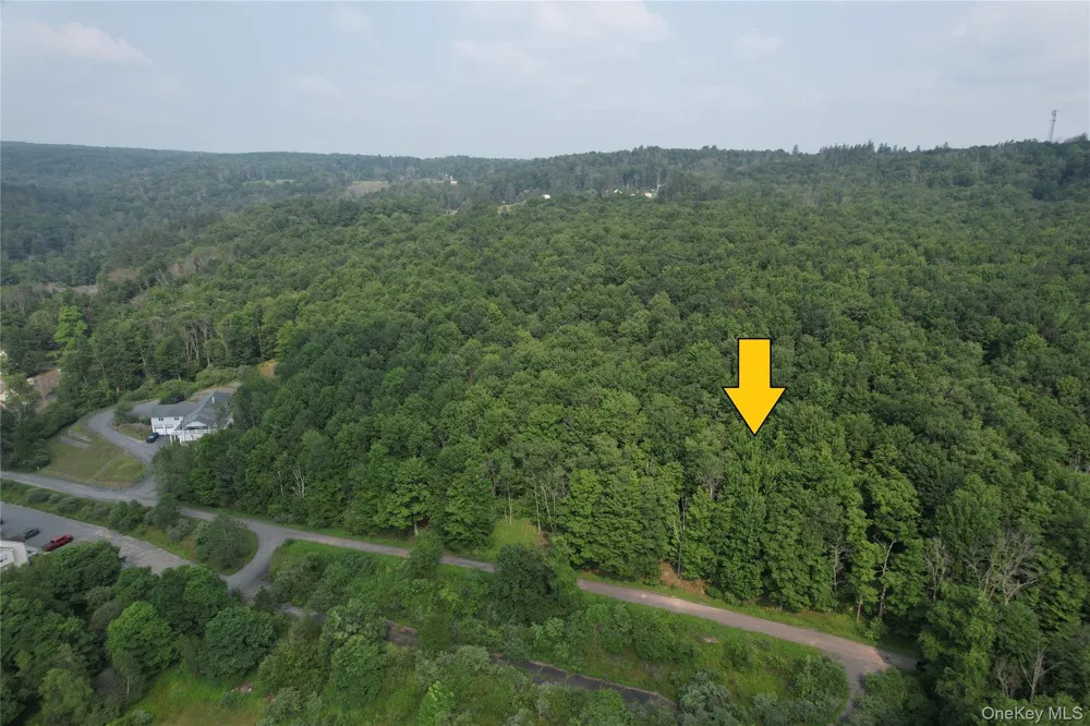 TBD Timberwolf Road W Liberty, NY 12754