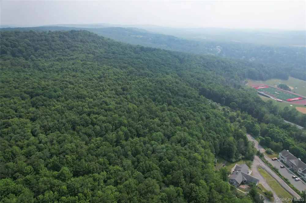 TBD Timberwolf Road W Liberty, NY 12754