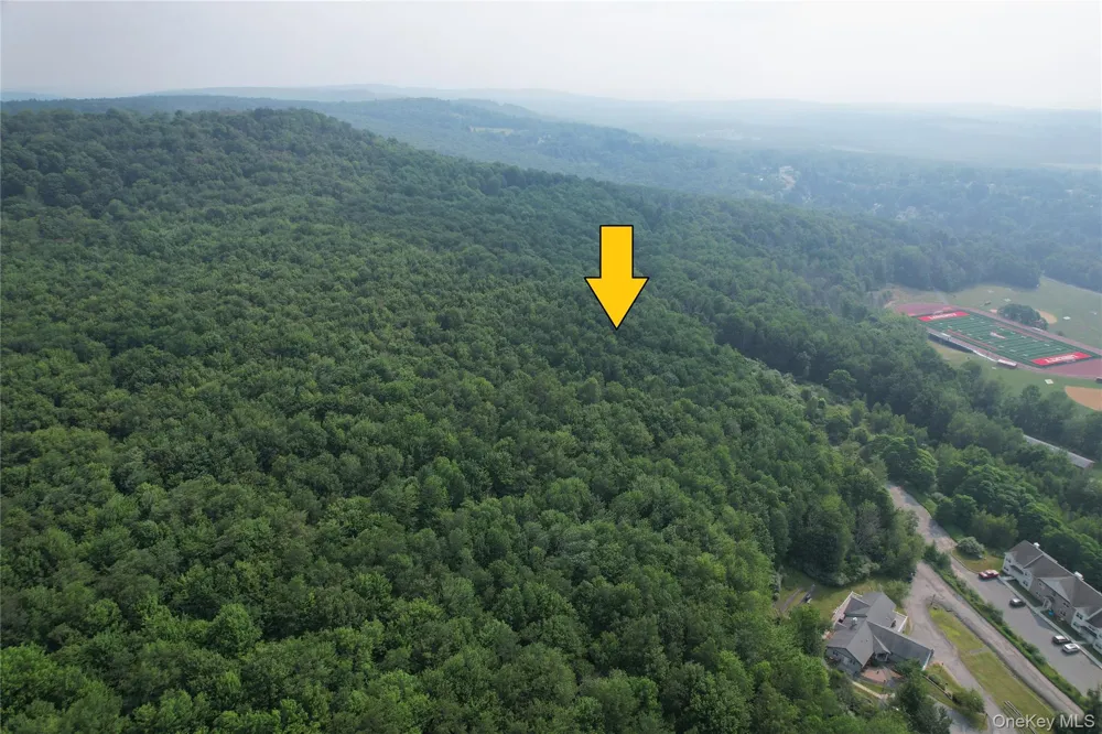 TBD Timberwolf Road W Liberty, NY 12754