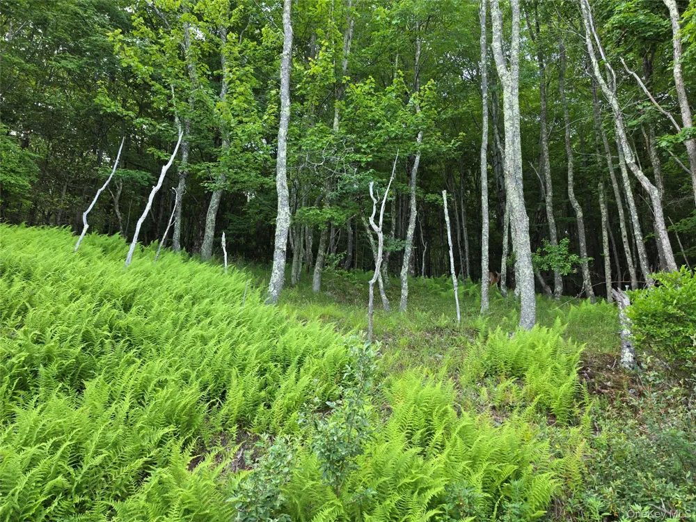 TBD Timberwolf Road W Liberty, NY 12754