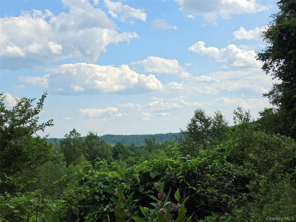 TBD Timberwolf Road W Liberty, NY 12754