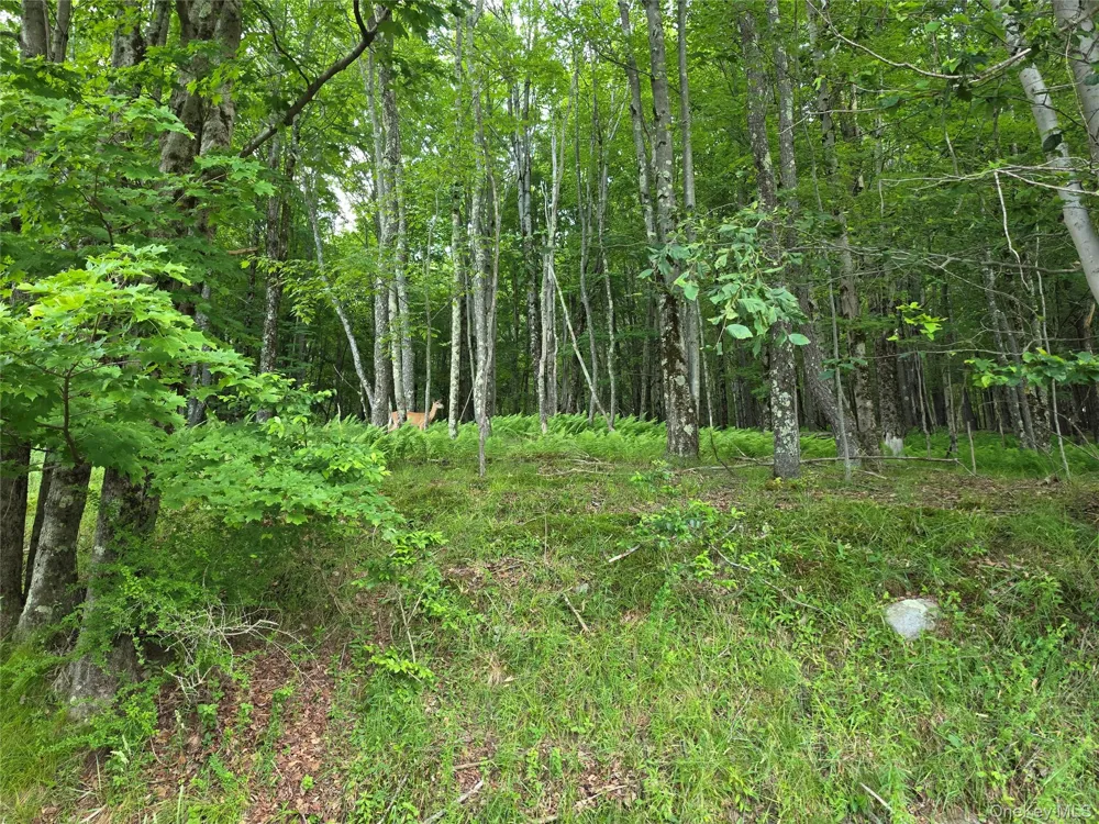 TBD Timberwolf Road W Liberty, NY 12754