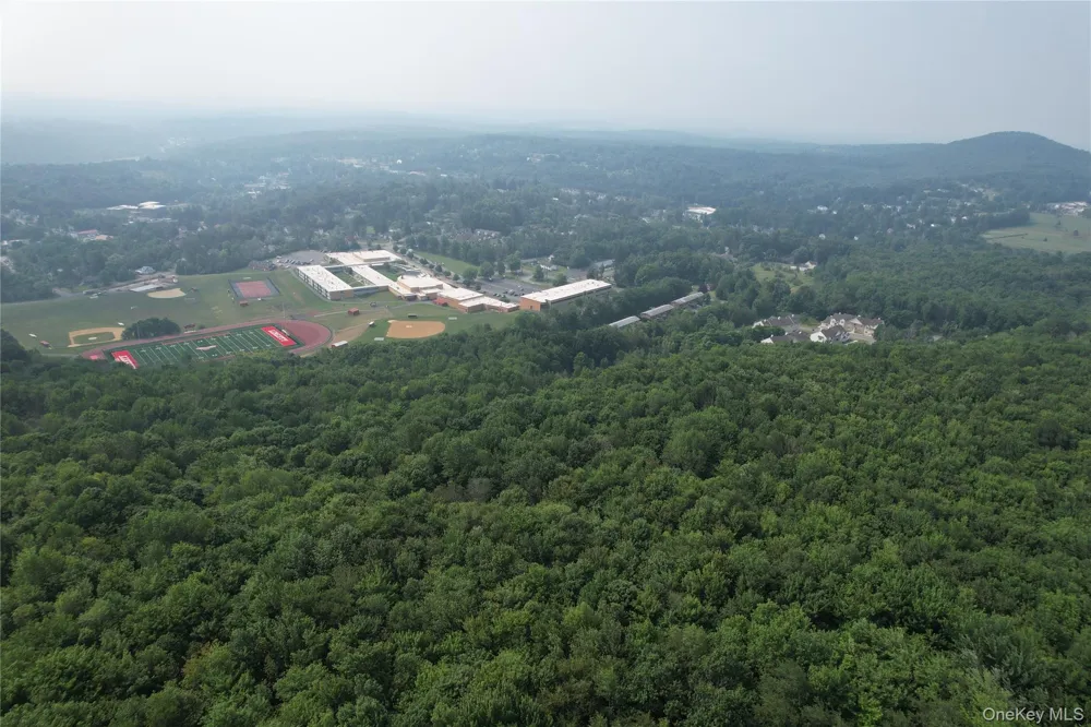 TBD Timberwolf Road W Liberty, NY 12754