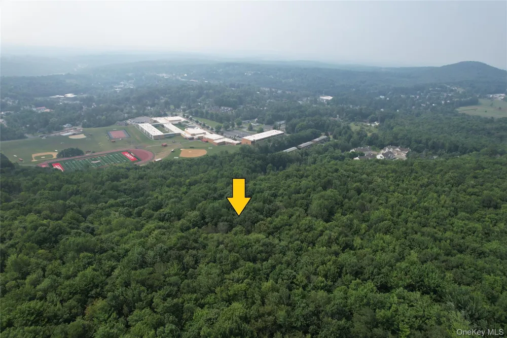 TBD Timberwolf Road W Liberty, NY 12754