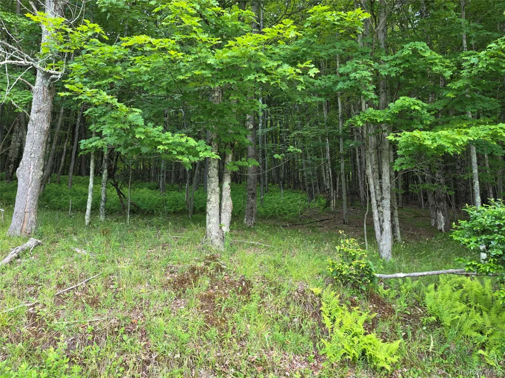 TBD Timberwolf Road W Liberty, NY 12754