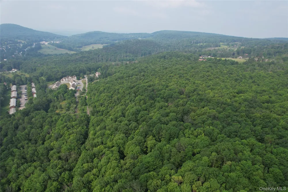 TBD Timberwolf Road W Liberty, NY 12754