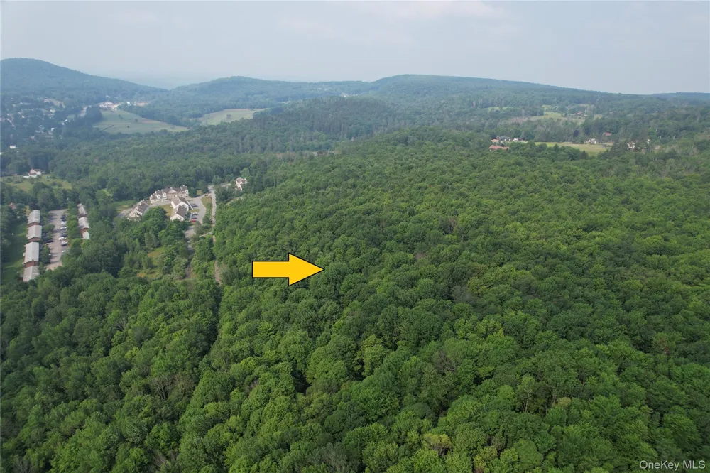 TBD Timberwolf Road W Liberty, NY 12754