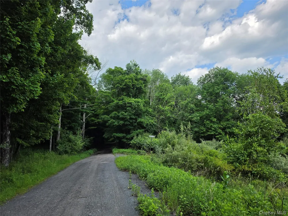 TBD Timberwolf Road W Liberty, NY 12754