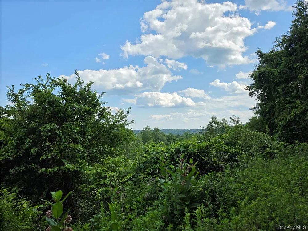 TBD Timberwolf Road W Liberty, NY 12754