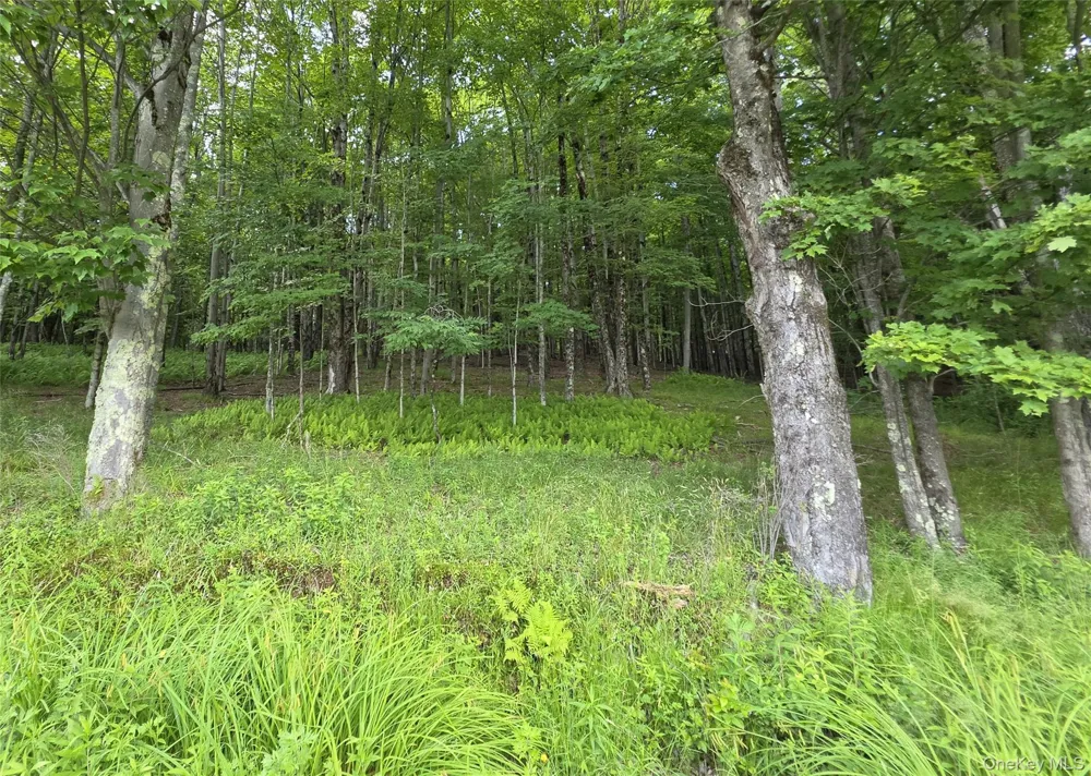 TBD Timberwolf Road W Liberty, NY 12754