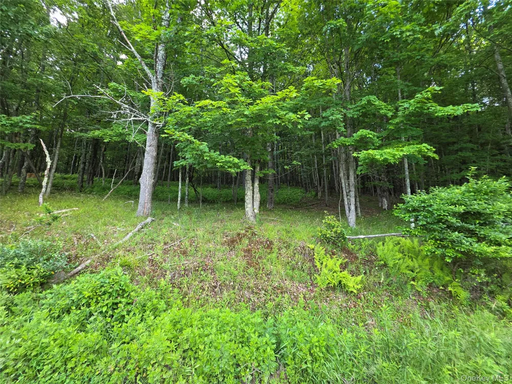 TBD Timberwolf Road W Liberty, NY 12754