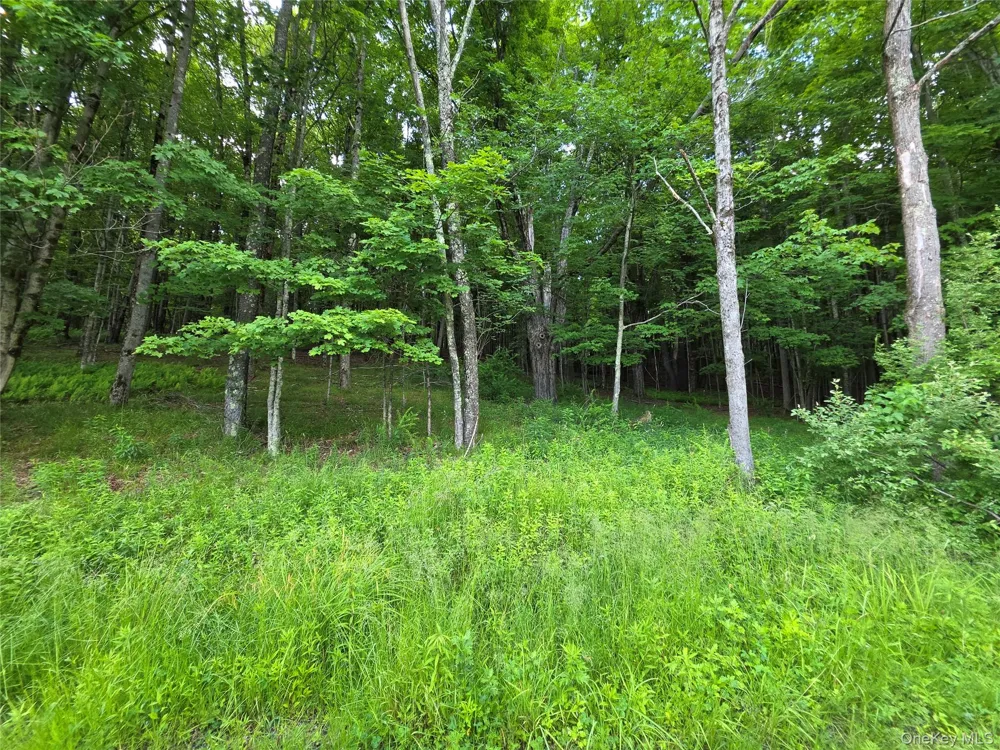 TBD Timberwolf Road W Liberty, NY 12754