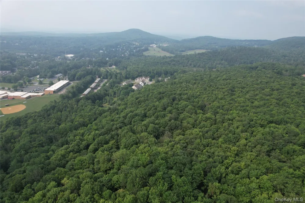 TBD Timberwolf Road W Liberty, NY 12754