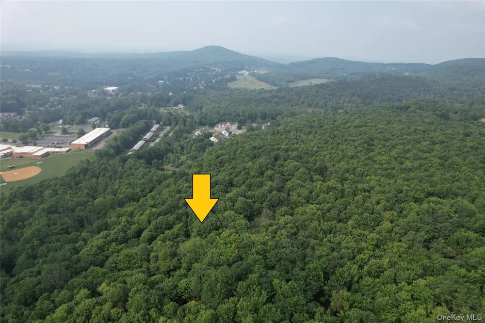 TBD Timberwolf Road W Liberty, NY 12754