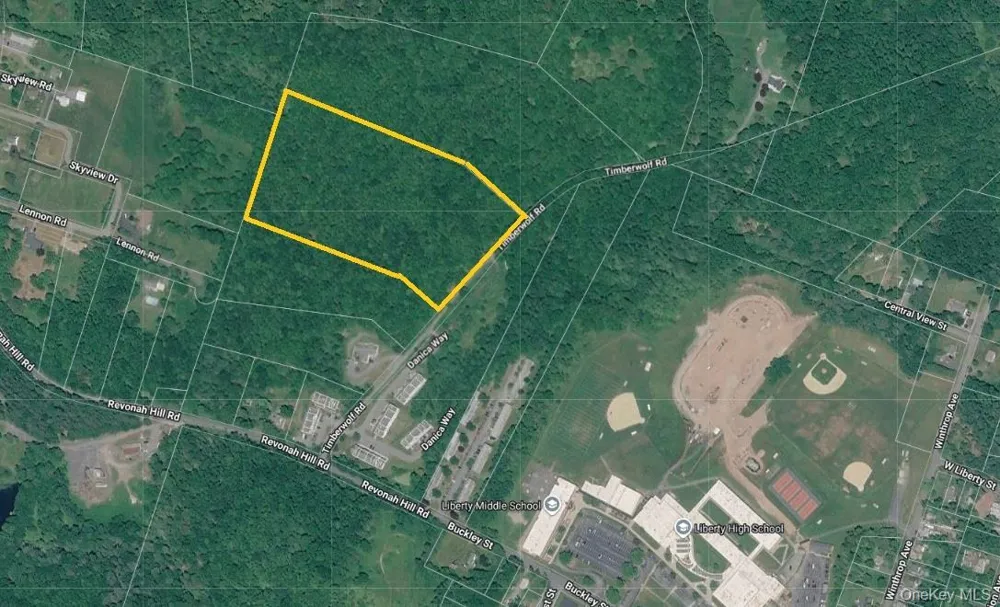 TBD Timberwolf Road W Liberty, NY 12754