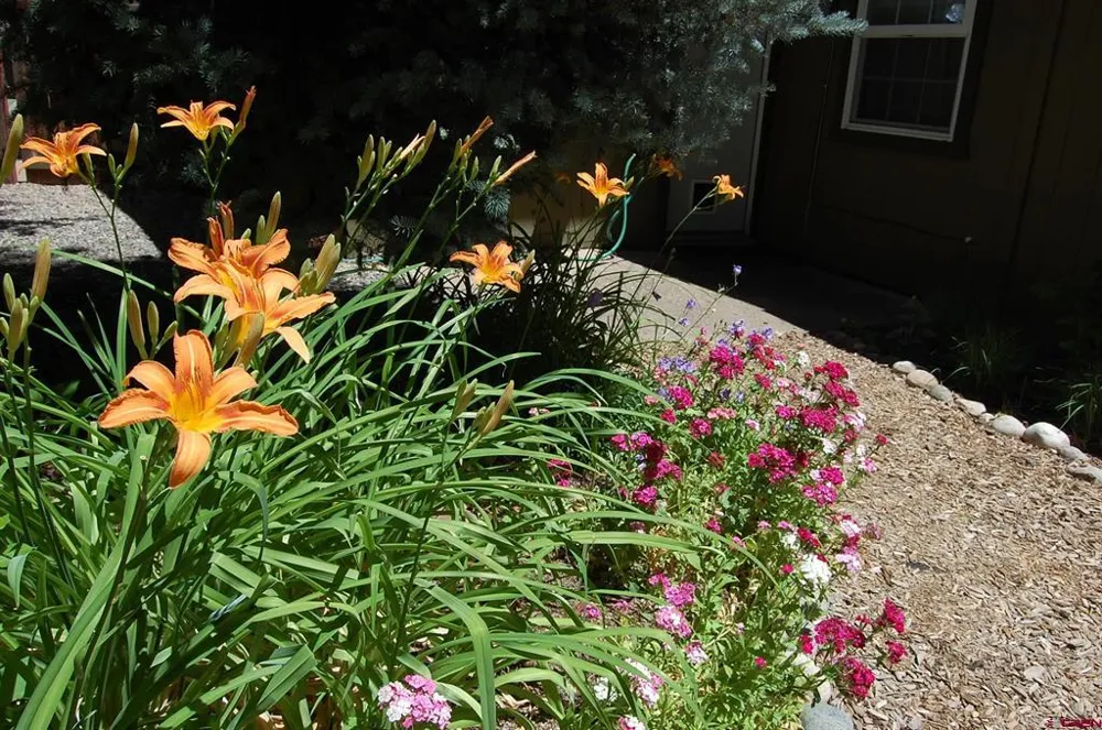 122 Alamo Drive Durango, CO 81301
