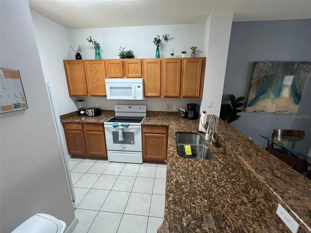 8563 BAY LILLY LOOP Kissimmee, FL 34747