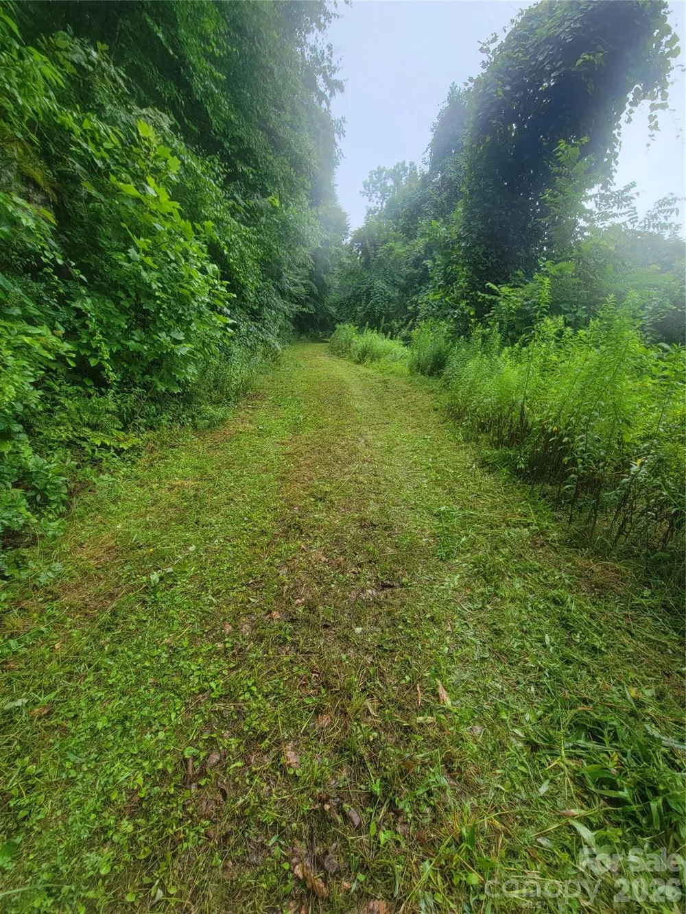 00 Cool August Heights Waynesville, NC 28785