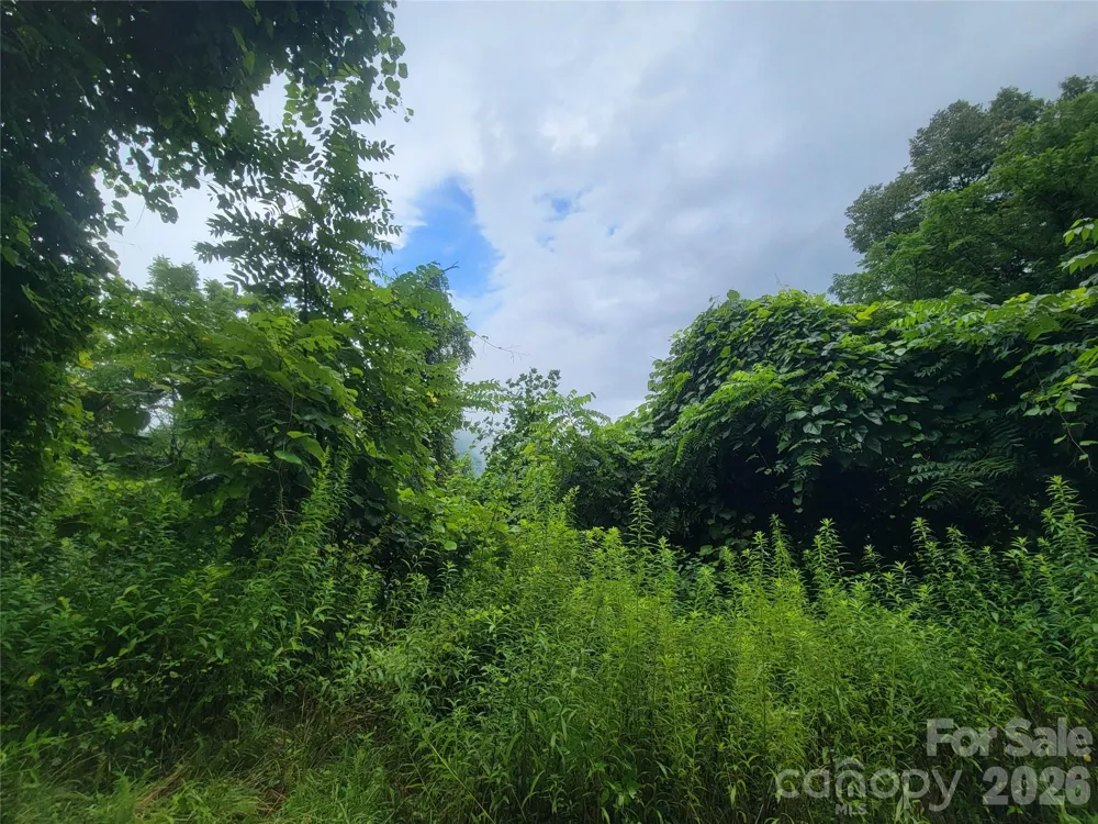 00 Cool August Heights Waynesville, NC 28785