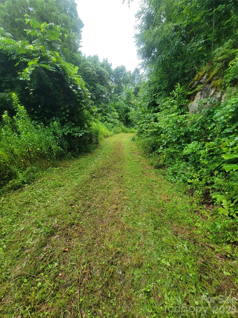 00 Cool August Heights Waynesville, NC 28785