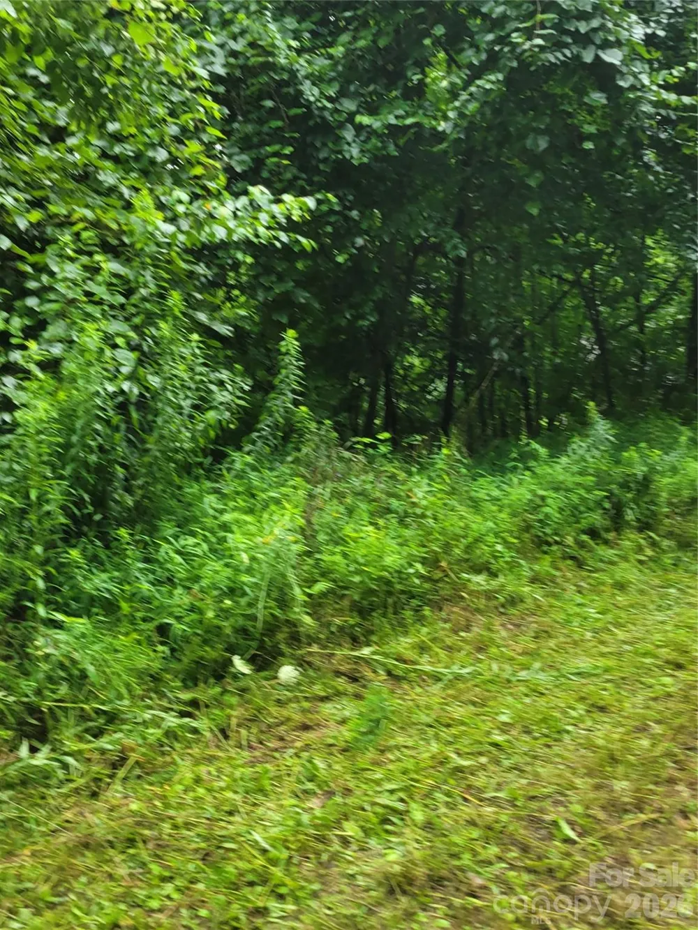 00 Cool August Heights Waynesville, NC 28785