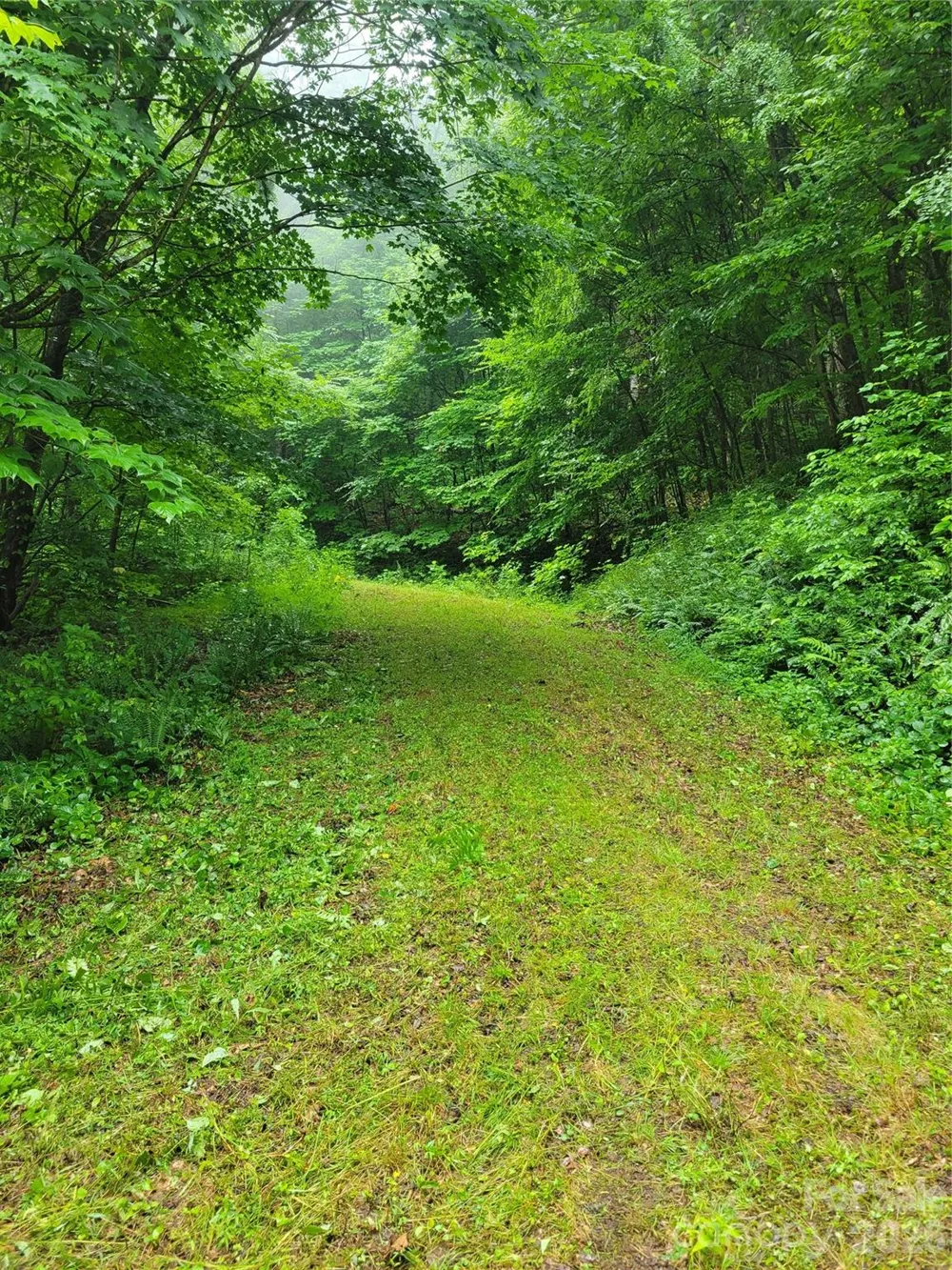 00 Cool August Heights Waynesville, NC 28785