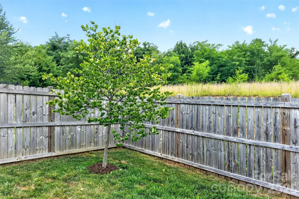 22 Tudor Way Black Mountain, NC 28711