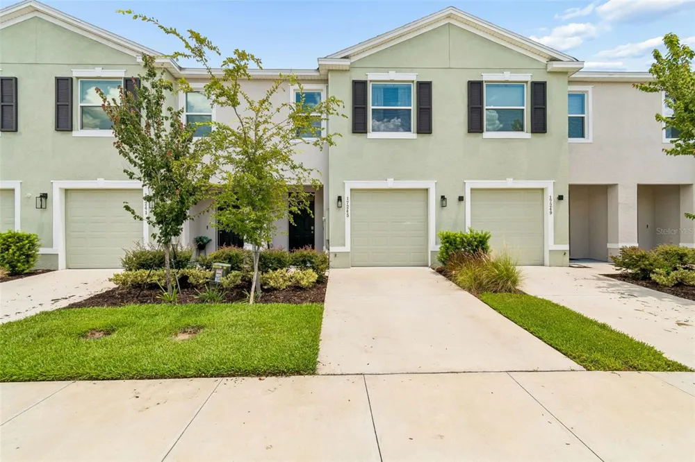 17245 AMBER ASPEN WAY Land O Lakes, FL 34638